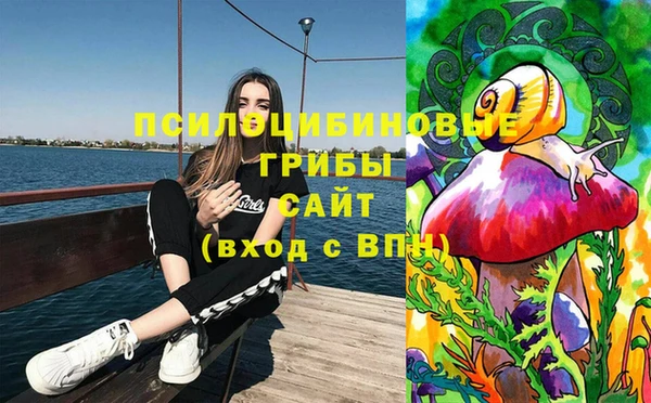 2c-b Алексеевка