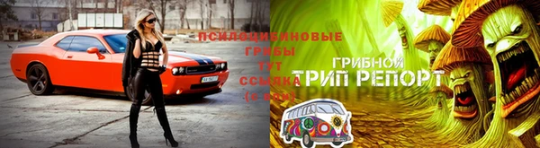 гидра Алзамай