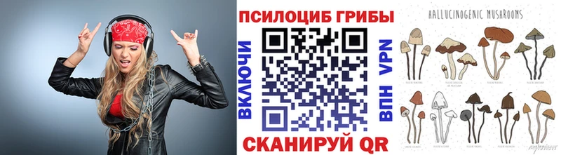 Псилоцибиновые грибы Psilocybine cubensis  что такое   Печоры 